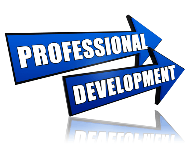 professional development
